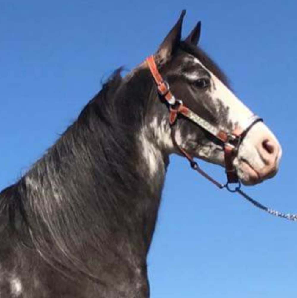 Meet your Posher, Becca